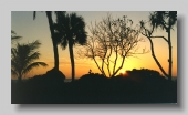 Florida Sunset_1998
